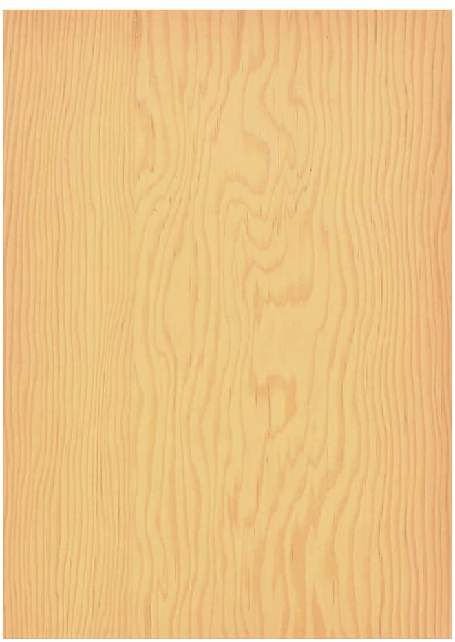 森の紙 極薄 天然木の紙 松 葉書サイズ 5枚入り インクジェットプリンター印刷 メール便