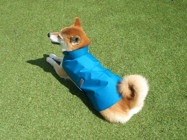 アトリエGG 犬服　コート　サイズ18 アトリエGG 犬服 コート サイズ18