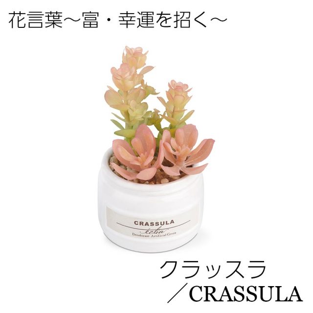 おしゃれな多肉植物のフェイクグリーン3個セット CT触媒・消臭アーティフィシャルグリーン エクリアBセット