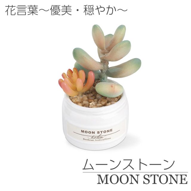 おしゃれな多肉植物のフェイクグリーン3個セット CT触媒・消臭アーティフィシャルグリーン エクリアBセット