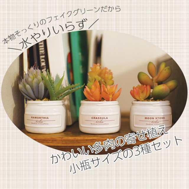 おしゃれな多肉植物のフェイクグリーン3個セット CT触媒・消臭アーティフィシャルグリーン エクリアBセット
