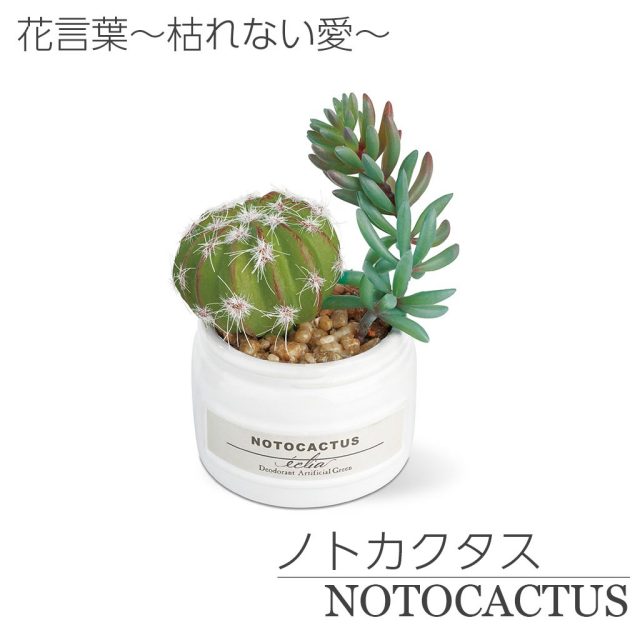 CT触媒消臭アーティフィシャルグリーン エクリア小瓶 3種類セットC