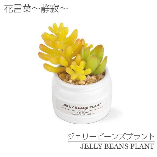 CT触媒消臭アーティフィシャルグリーン エクリア小瓶 3種類セットC