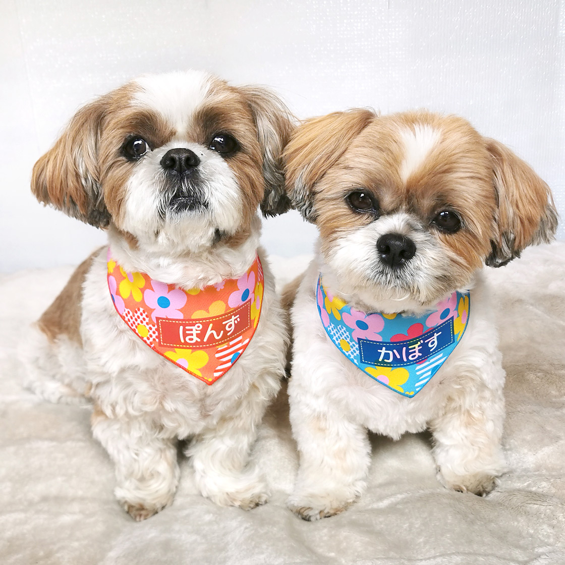 ペット用名前入りバンダナ『フラワー（花柄）』犬・猫グッズ