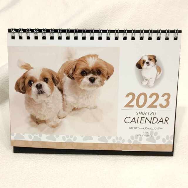 卓上2023年シーズーカレンダー モデル：《ぽんず＆かぼす》