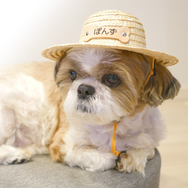 ペット用麦わら帽子　名札付