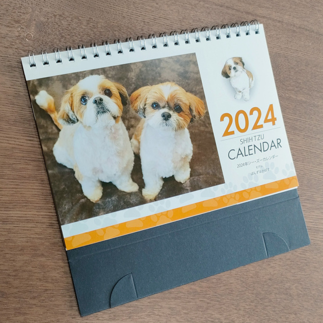 卓上2024年シーズーカレンダー モデル：《ぽんず＆かぼす》