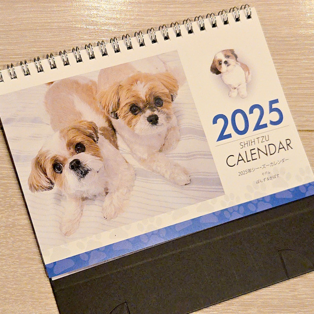 卓上2025年シーズーカレンダー モデル：《ぽんず＆かぼす》