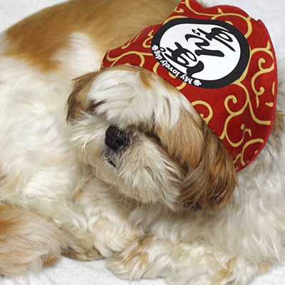 ペット用バンダナ「からくさ」名前入り