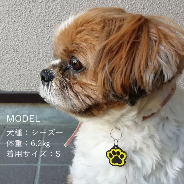 超軽量アクリル両面 肉球型の迷子札 猫、超小型～中型～大型犬用 人間