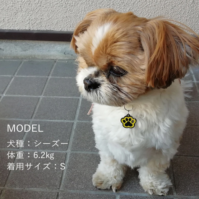 超軽量アクリル両面 肉球型の迷子札 猫、超小型～中型～大型犬用 人間
