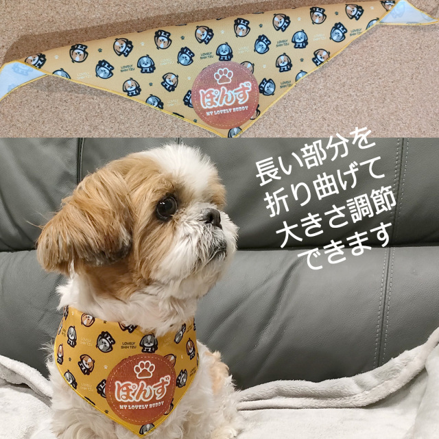 正規品♡シーズー柄プリント毛布♡ブルー 71NTpZQJ8rL._AC_SY200_QL15_.jpg