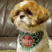 ペット用名前入りバンダナ『からくさ』-革風ワッペン-犬・猫グッズ