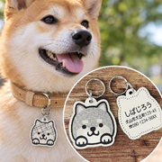 柴犬の迷子札（両面アクリル製）