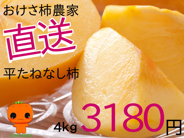 おけさ柿農家直送　4ｋｇ3180円