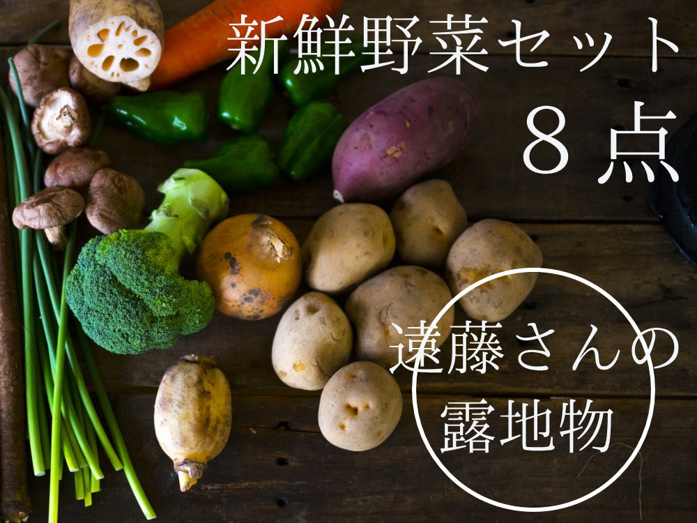 新潟県阿賀野産 朝採り新鮮野菜セットを農家直送！８点セット