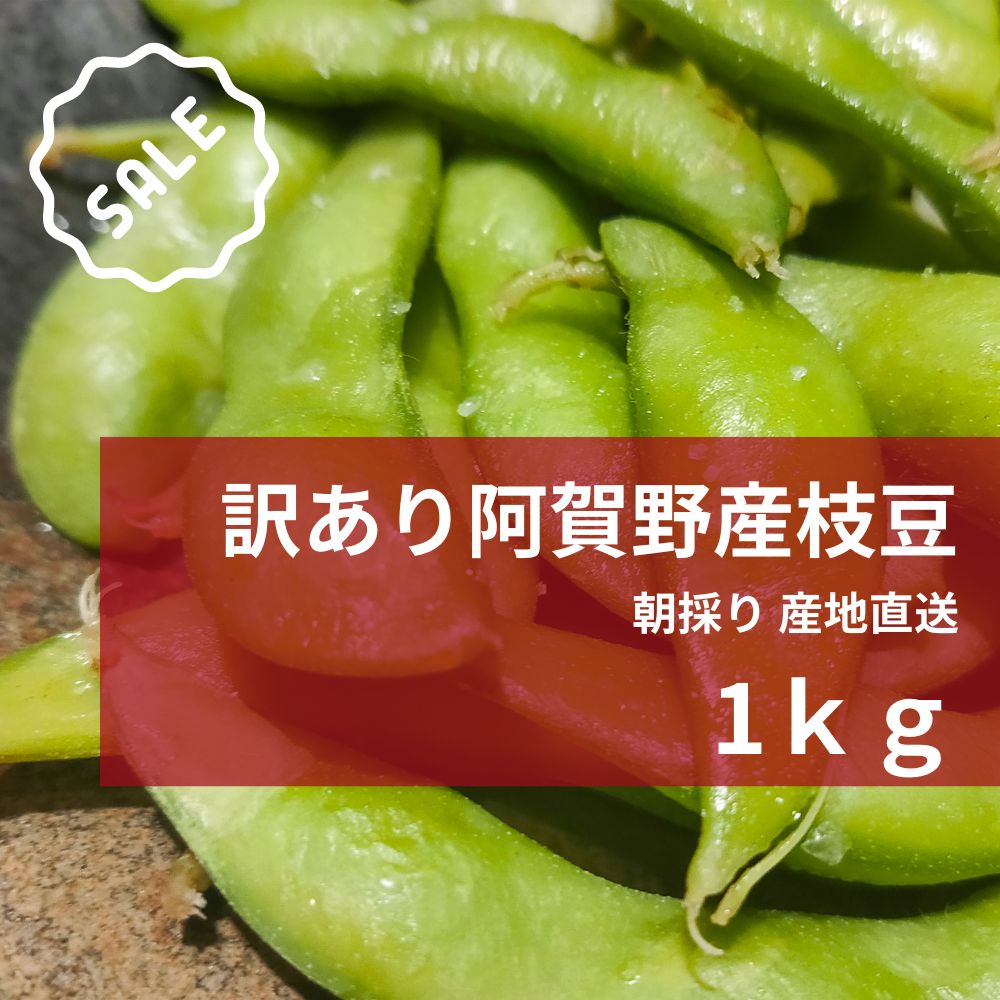 わけあり枝豆 | 新潟県阿賀野産えだ豆 1kg【B品】送料無料