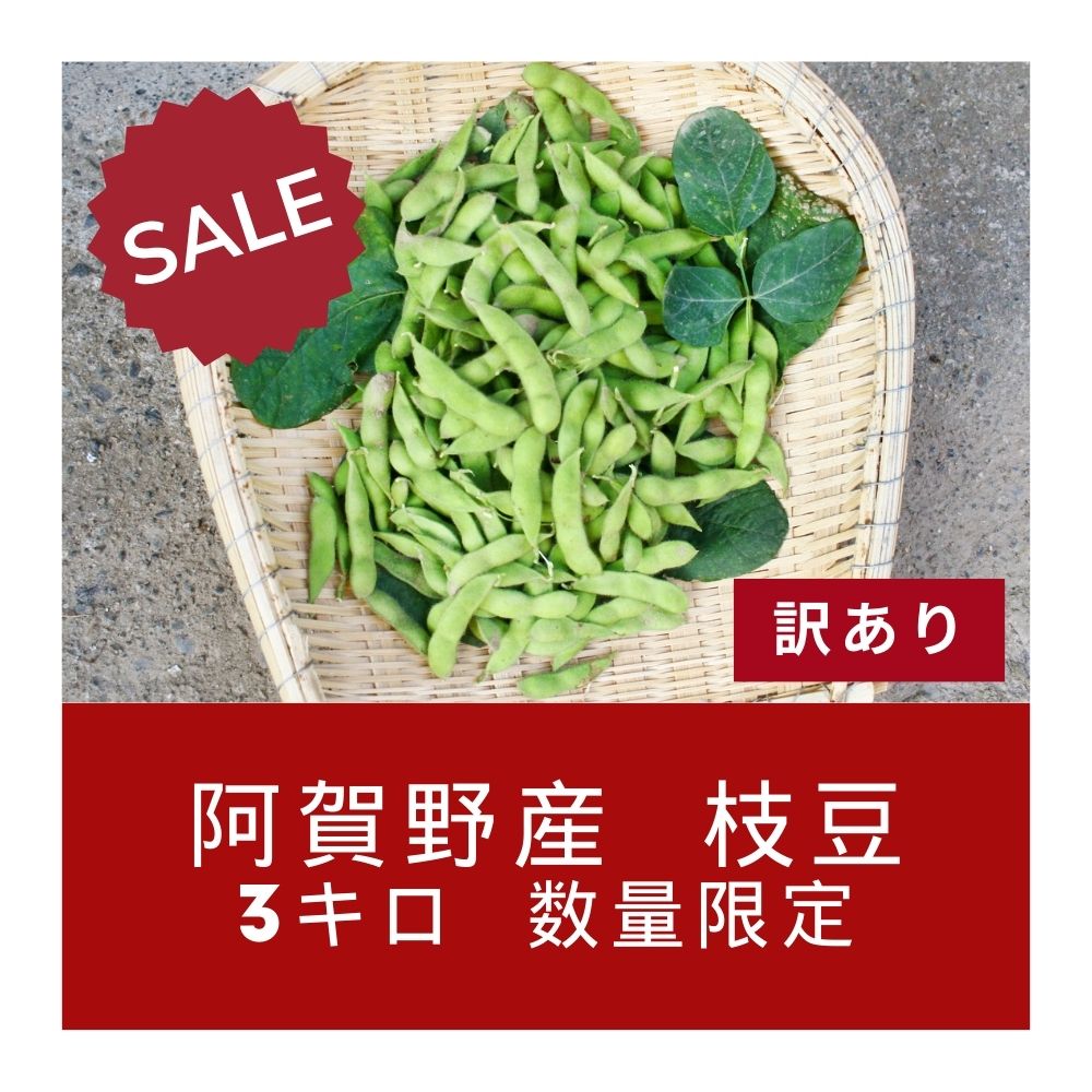 新潟の阿賀野産訳あり枝豆3ｋｇが送料無料
