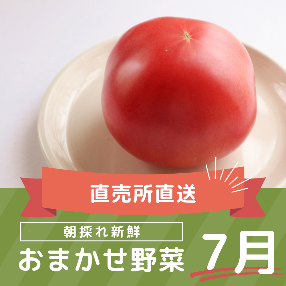 農産物直売所から毎週土曜日直送！7月の野菜5点セット