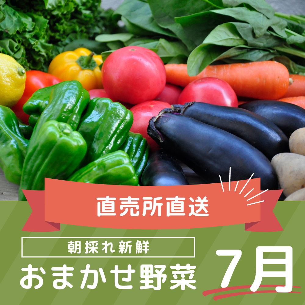 夢ファームくまいの直売所から直送！朝採り野菜8点セット送料無料