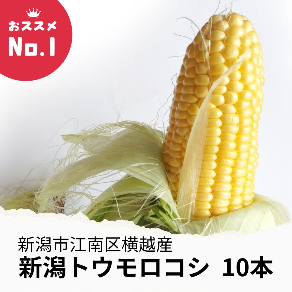 新潟市江南区横越産トウモロコシ10本セット 店長イチオシ