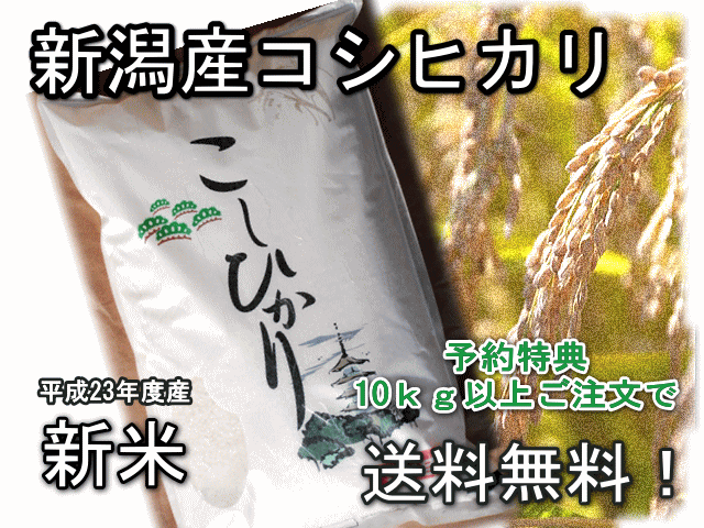 【新潟産コシヒカリ通販】平成23年度　新米　早期予約