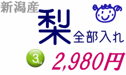 【新潟の梨】農園直送！4種の和梨食べくらべ3ｋｇセット《送料無料》