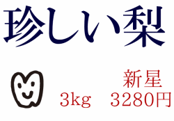 珍しい梨。新星3ｋｇが3280円で送料無料！