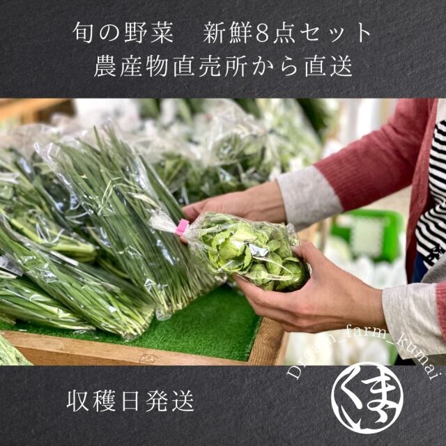 【送料無料】新潟県阿賀野産 朝採り野菜セット 農家直送 ５月の新鮮野菜８点 遠藤さんの春野菜【冷蔵便】