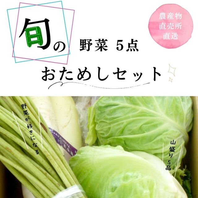 【送料無料】遠藤さんの朝採り野菜セット ５点 ５月の直売野菜 新潟県阿賀野産 春野菜 【農家直送】【冷蔵便】
