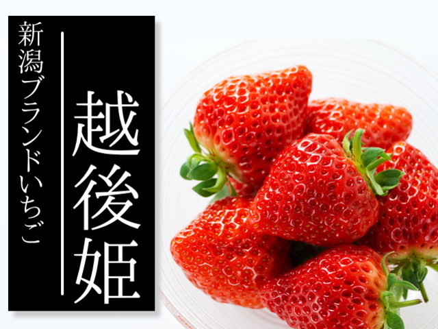 越後姫 送料無料 新潟のブランドいちご 苺 ２ｌ 30粒入 生産者直送