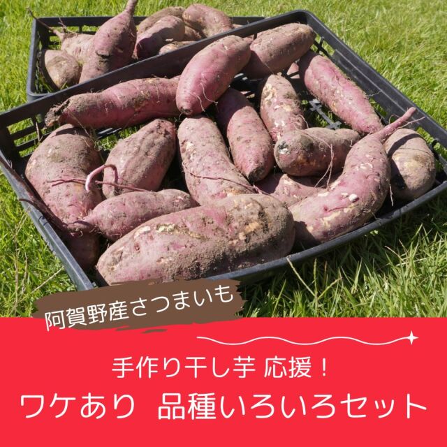 【干し芋用の芋】手作り応援企画！品種いろいろ食べ比べセット ワケあり