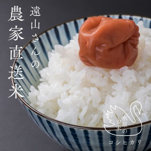 令和7年産 新潟産コシヒカリ 新米｜農家直送！[米工房 和]