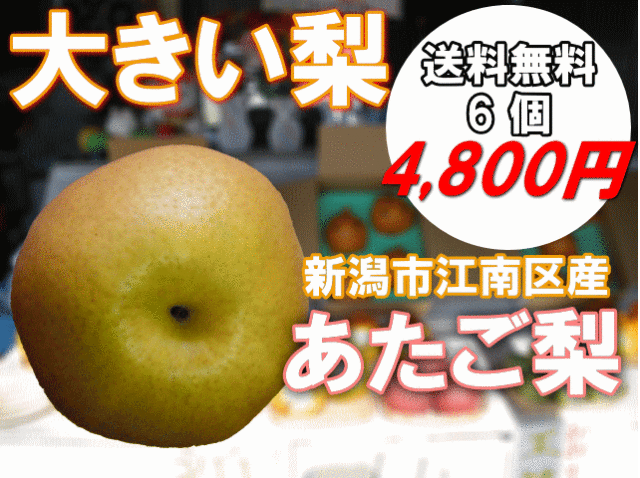 【大きいあたご梨】新潟産（新潟市江南区）　6個　約5ｋｇ