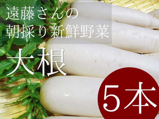 遠藤さんの朝採り新鮮野菜 漬物用大根5本セットが送料無料