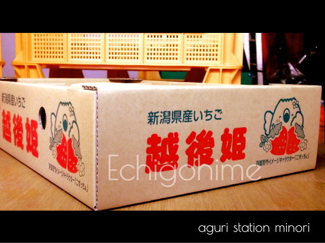 越後姫800ｇのパッケージ写真（横）