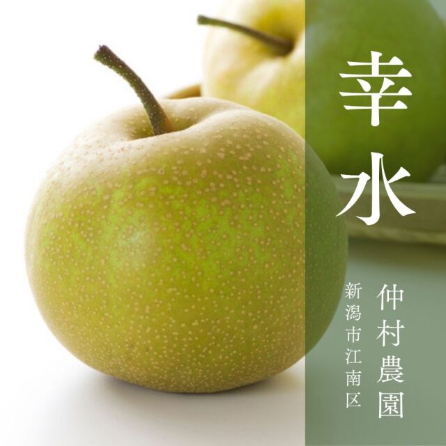 新潟市江南区仲村農園の新潟産幸水梨2キロセット