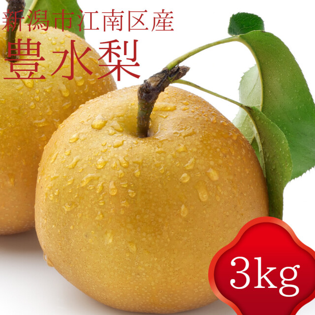 豊水梨】送料無料 新潟市江南区産 3kg - 仲村農園直送