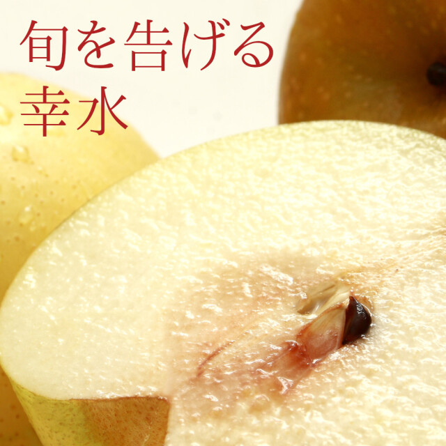 南水】梨 送料無料 農家直送 新潟市江南区産 3kg - 仲村農園