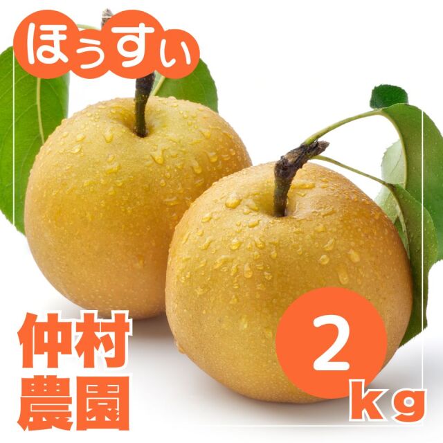 新潟 仲村農園の豊水梨 2キロ