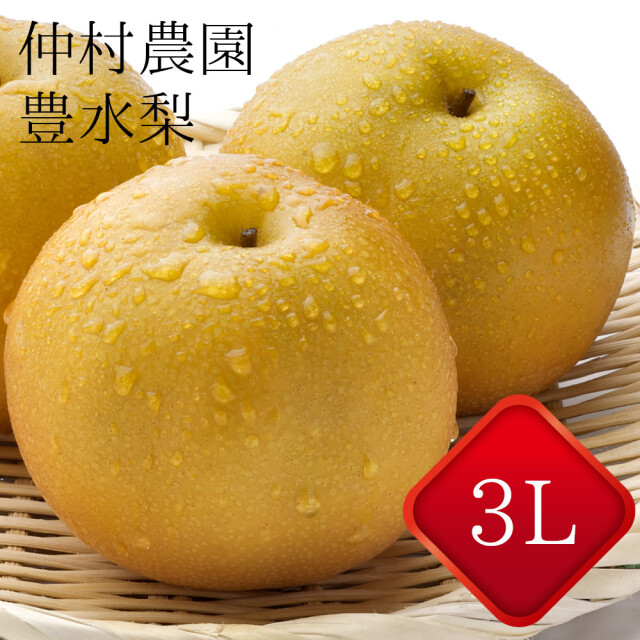 【豊水梨】送料無料 仲村農園直送 - 新潟市江南区産　3ｋｇ　３Ｌ　およそ６個