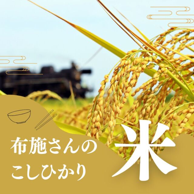 【送料無料】布施さんの新潟米 コシヒカリ 玄米 30kｇ 新潟県新潟市秋葉区産 生産者直送