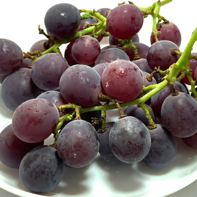 送料無料】 幻のぶどう タノブラック 2キロ 新潟市秋葉区産 布施ぶどう