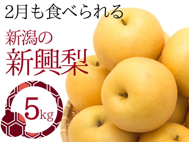 新潟の梨【新興梨】送料無料《農園直売》5kg - 新潟市江南区仲村農園 新潟の梨【新興梨】送料無料《農園直売》5kg - 新潟市江南区仲村農園
