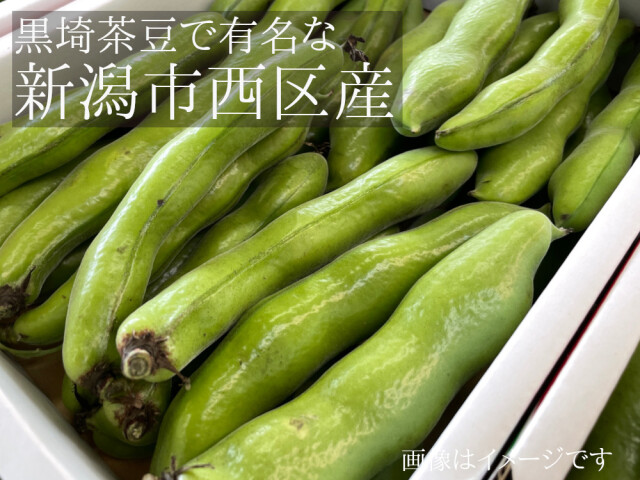 黒埼茶豆で有名な新潟市西区産そら豆