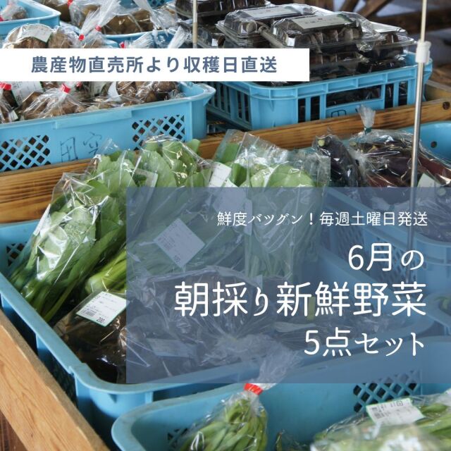 農産物直売所直送！毎週土曜日発送の野菜詰め合わせセット