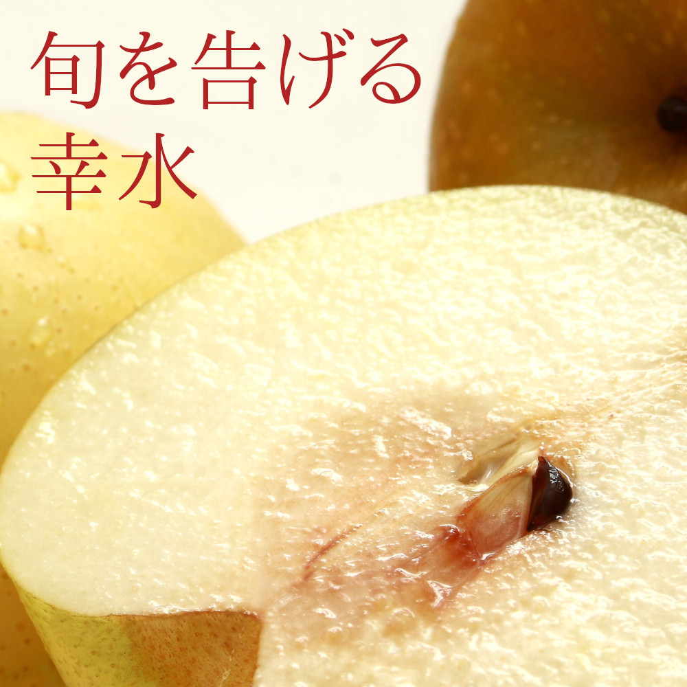 【幸水梨】送料無料 農家直送 朝採り梨 新潟産　3ｋｇ （およそ7～10玉） - 新潟市江南区 仲村農園