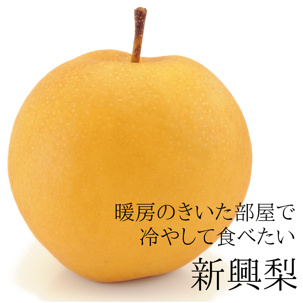 新興梨】 新潟産 3kg 《送料無料》 - 仲村農園直売