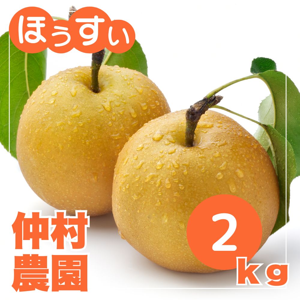 豊水梨】送料無料 新潟市江南区産 2kg - 仲村農園直送