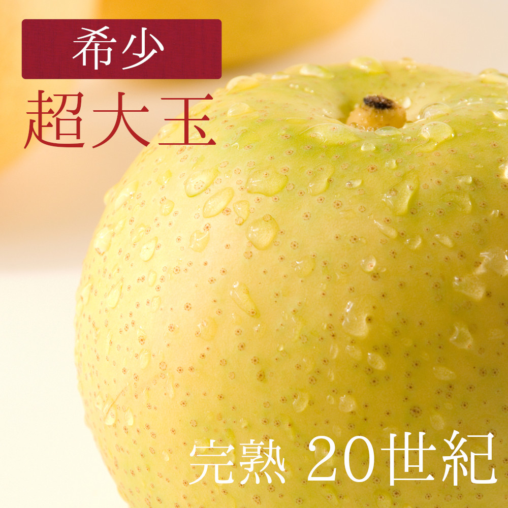 梨【20世紀】送料無料 農家直送≪朝モギ≫ 新潟市江南区産　5ｋｇ 超大玉４Ｌ （およそ9個） - 仲村農園
